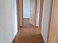 Bild...