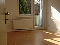 Bild...