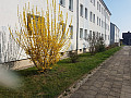 Welsleber 5-6 (1)