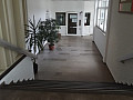 Bild...