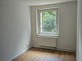 Bild...