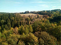 Bild...