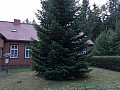 Bild...